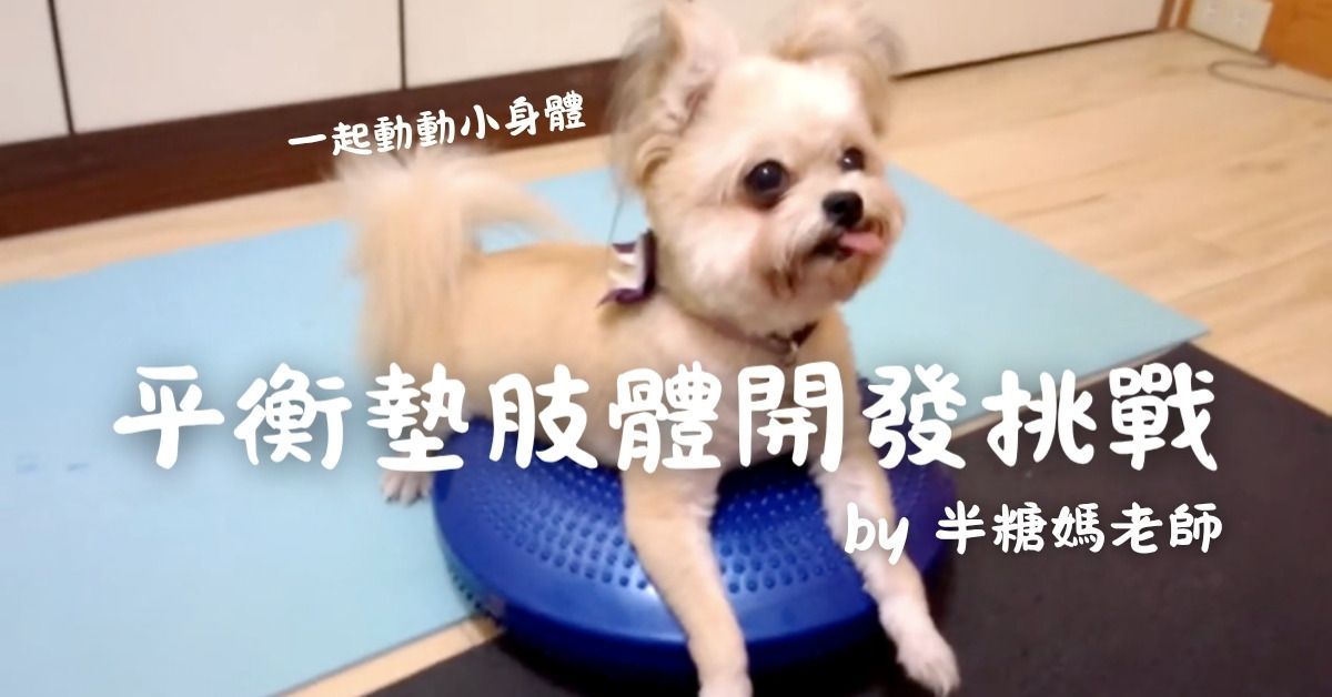 平衡墊肢體開發挑戰（台中）