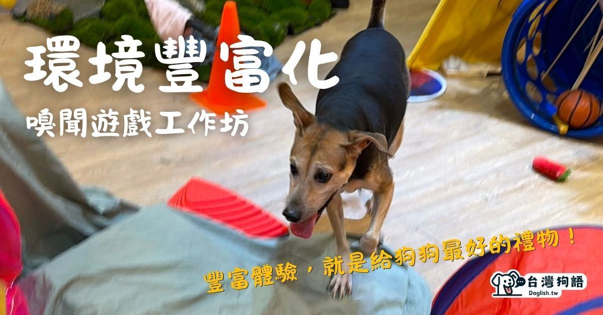 環境豐富化／嗅聞遊戲工作坊
