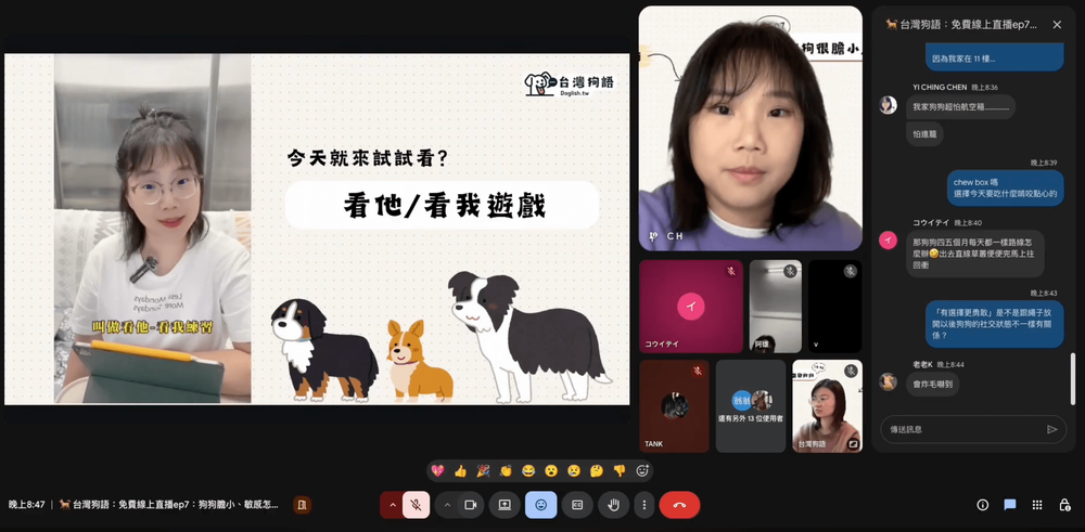 「看他看我」訓練教學:Engage–Disengage 如何改善敏感與爆衝行為 - 台灣狗語