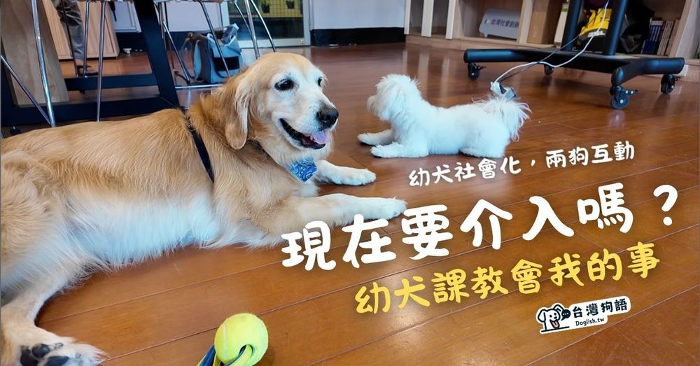 文章封面圖片