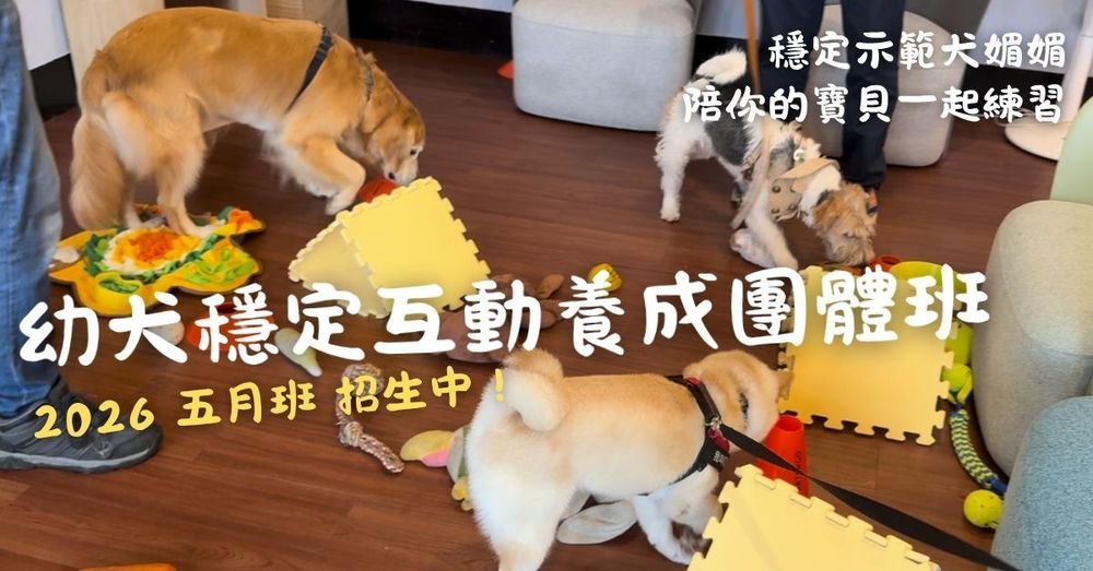 文章封面圖片