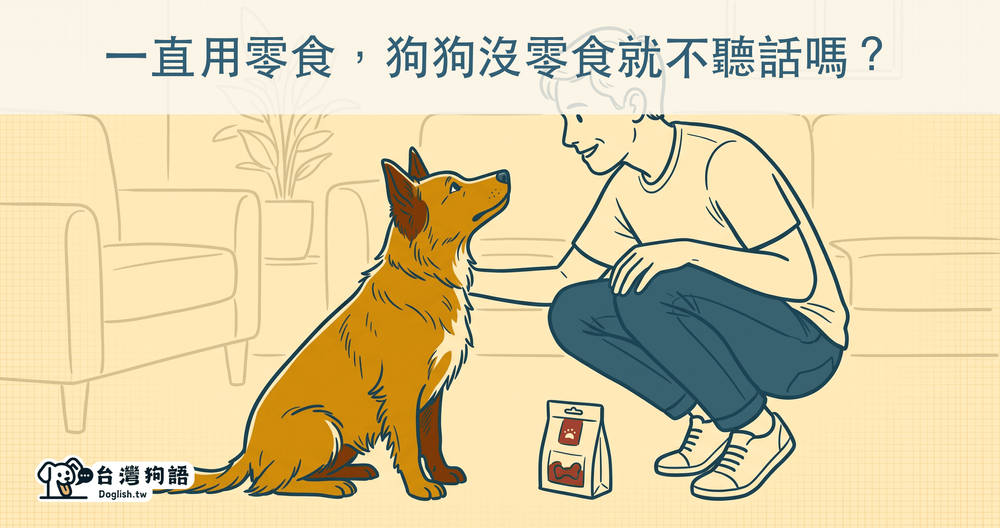 文章封面圖片