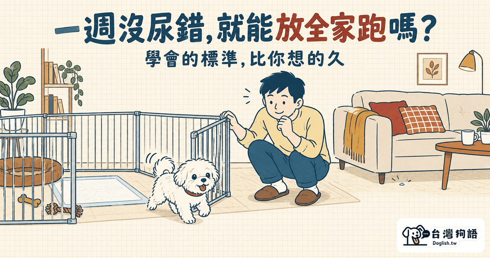 文章封面圖片