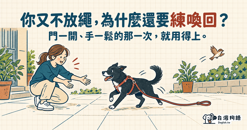 文章封面圖片