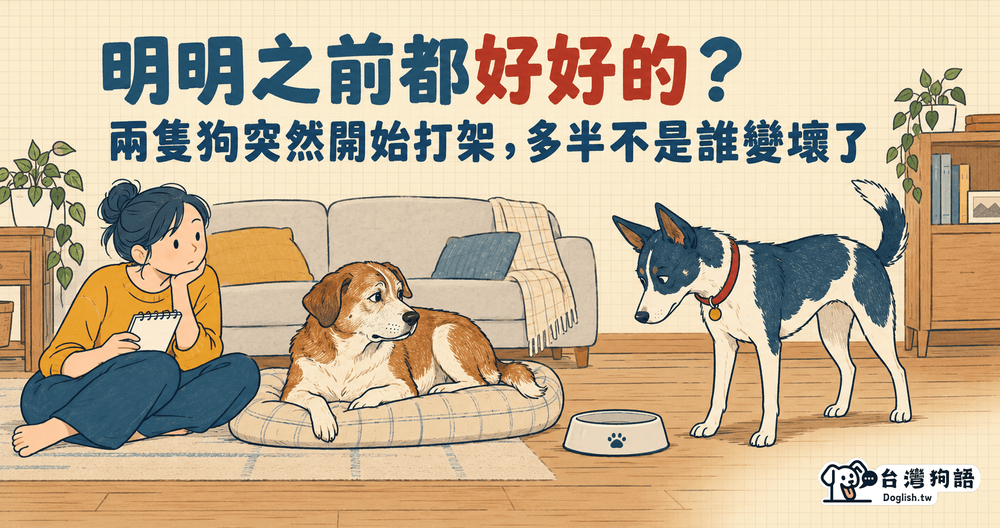 文章封面圖片