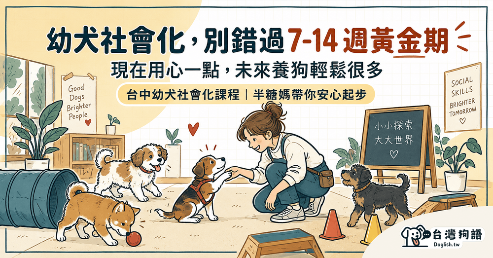 文章封面圖片