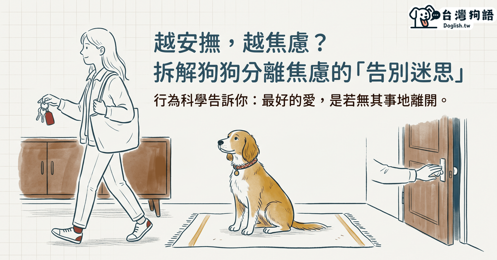 文章封面圖片