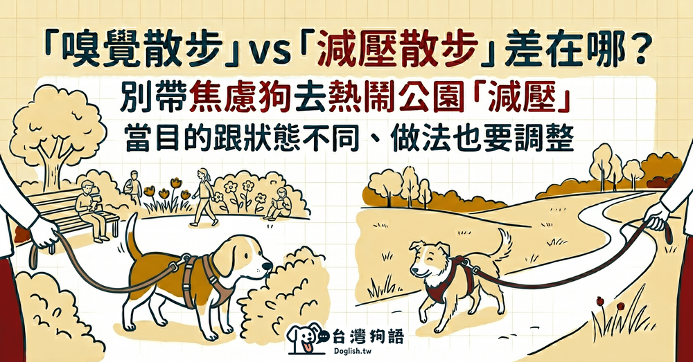 文章封面圖片