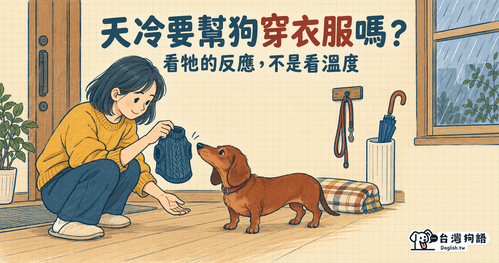文章封面圖片