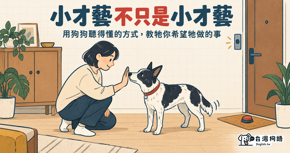 文章封面圖片