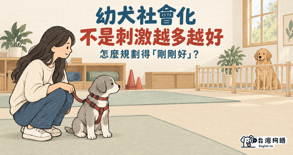 文章封面圖片