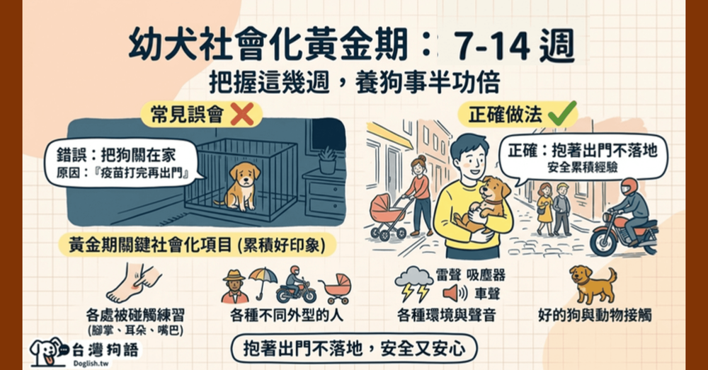 文章封面圖片