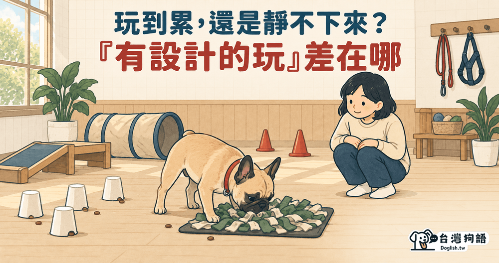文章封面圖片