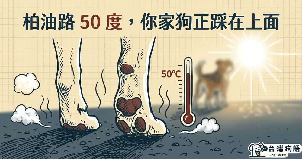 文章封面圖片