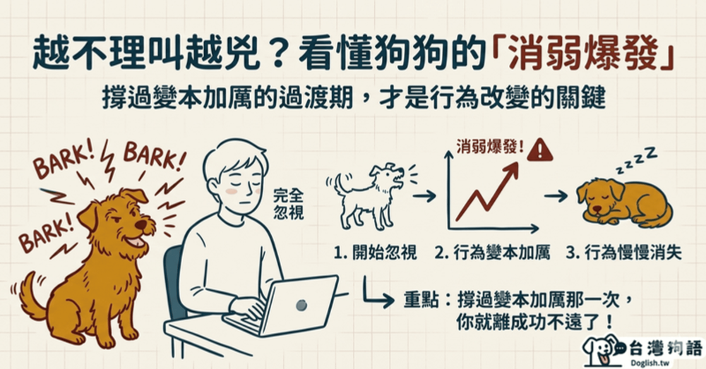 文章封面圖片