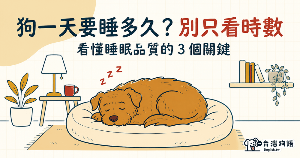 文章封面圖片