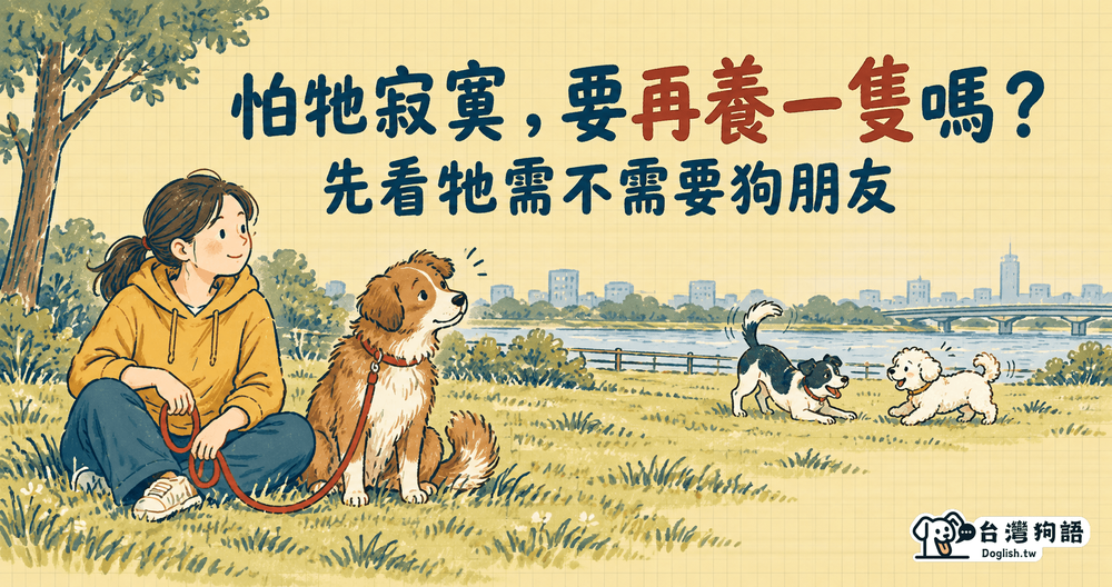 文章封面圖片