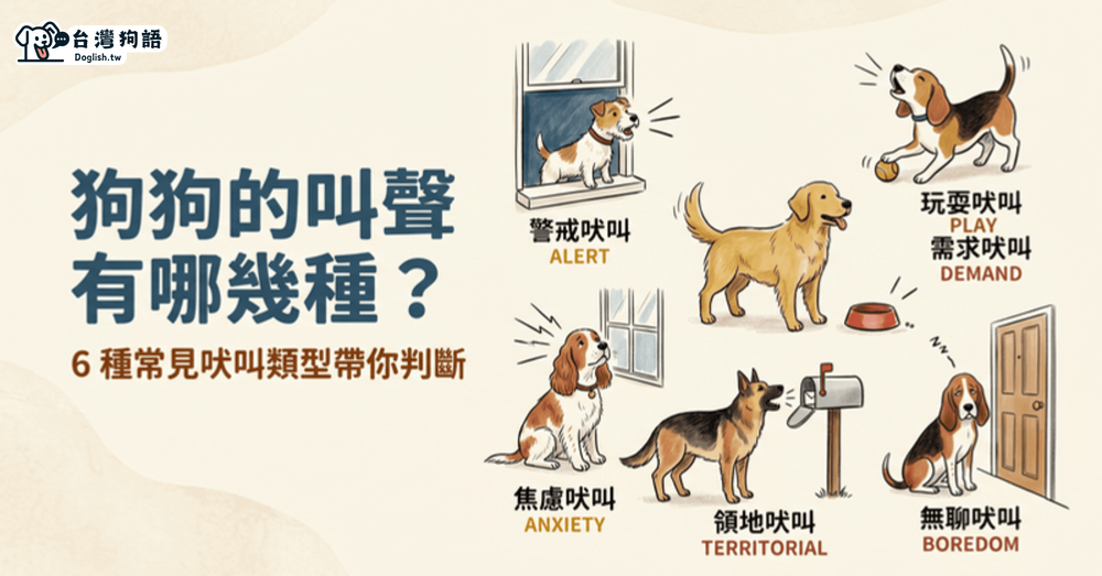 文章封面圖片