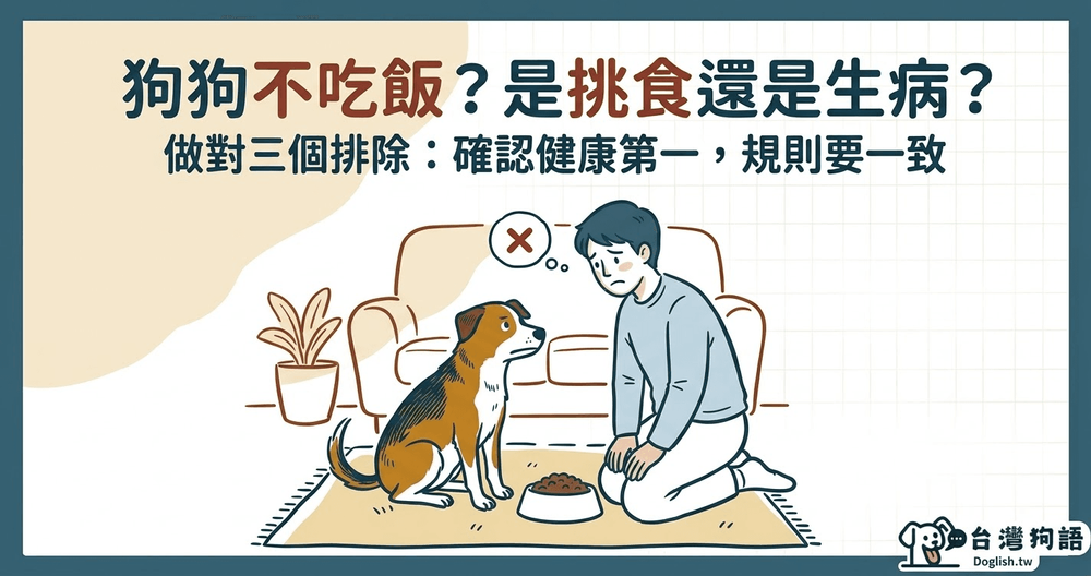 文章封面圖片