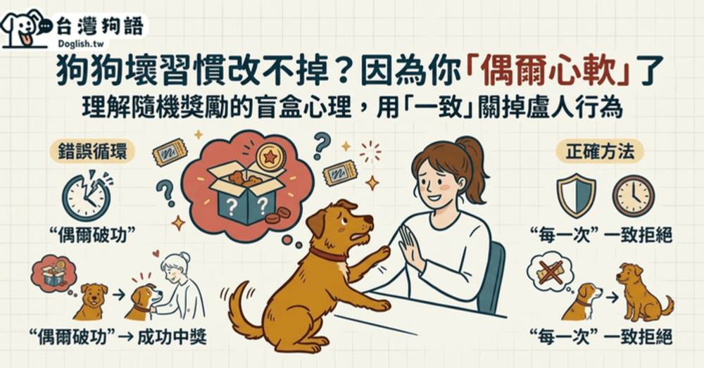 文章封面圖片