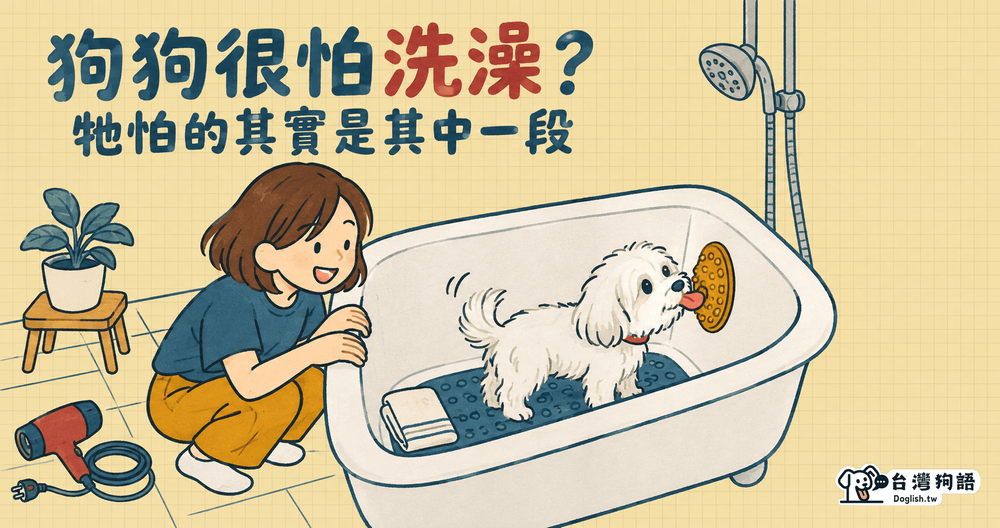 文章封面圖片