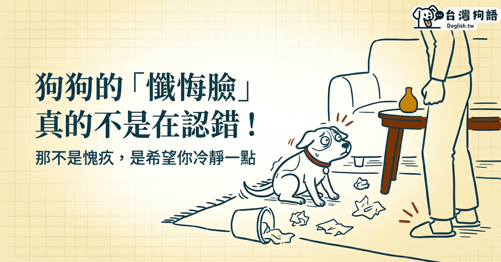 文章封面圖片
