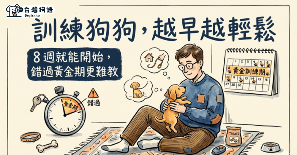 文章封面圖片