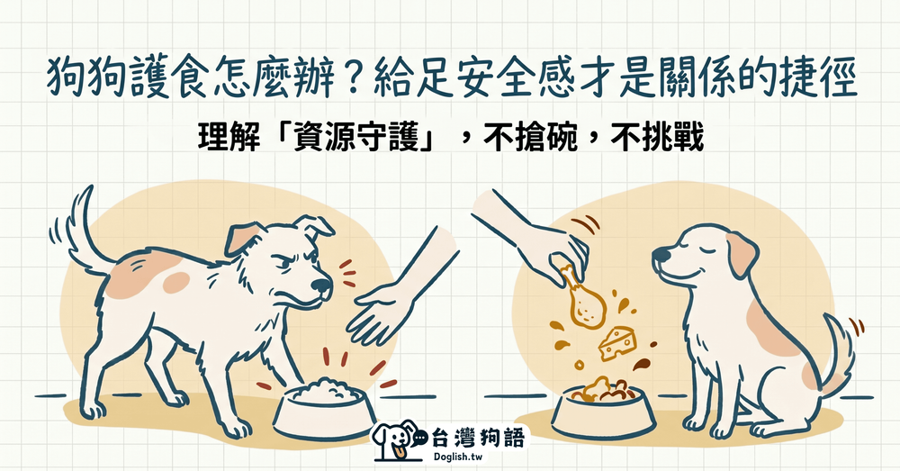 文章封面圖片