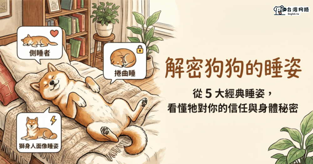 文章封面圖片