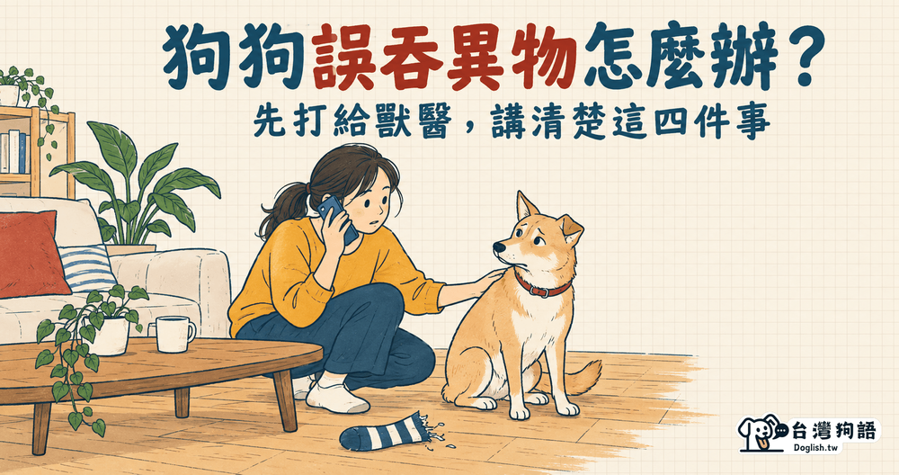 文章封面圖片