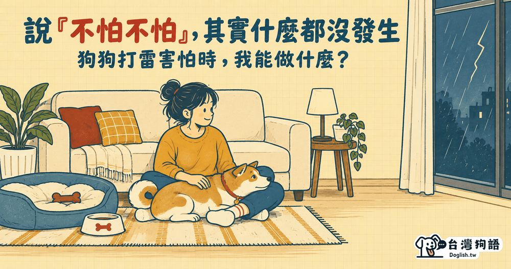 文章封面圖片