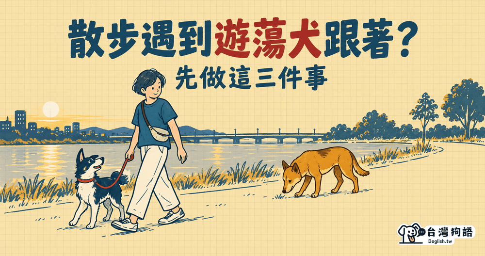 文章封面圖片