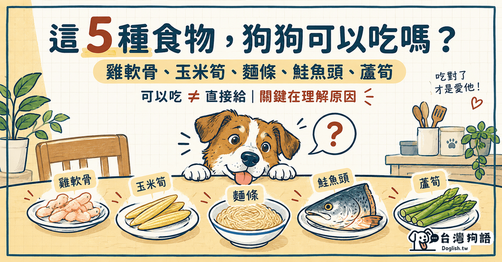 文章封面圖片