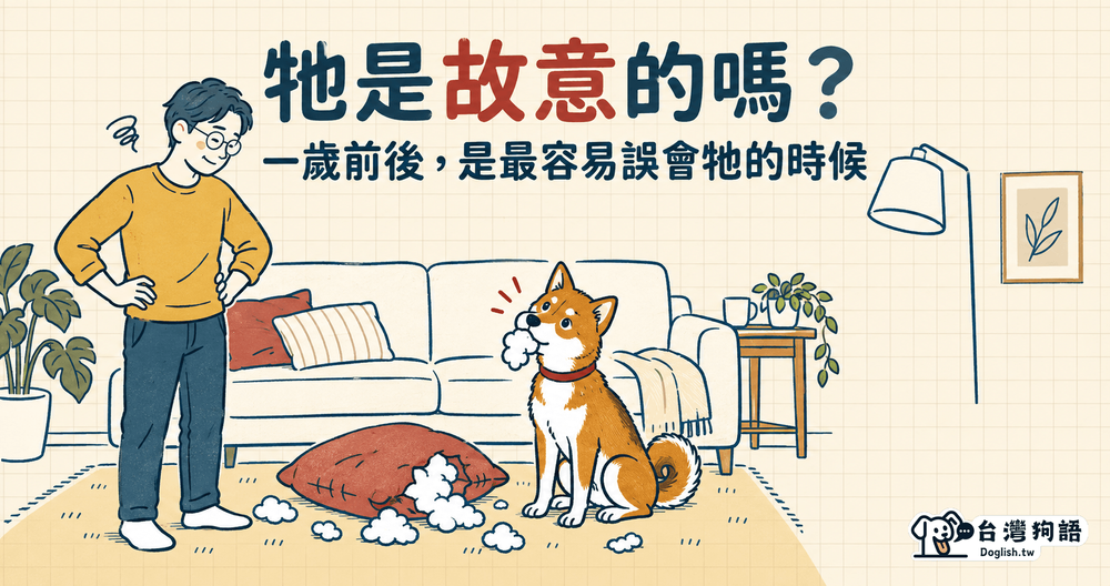 文章封面圖片