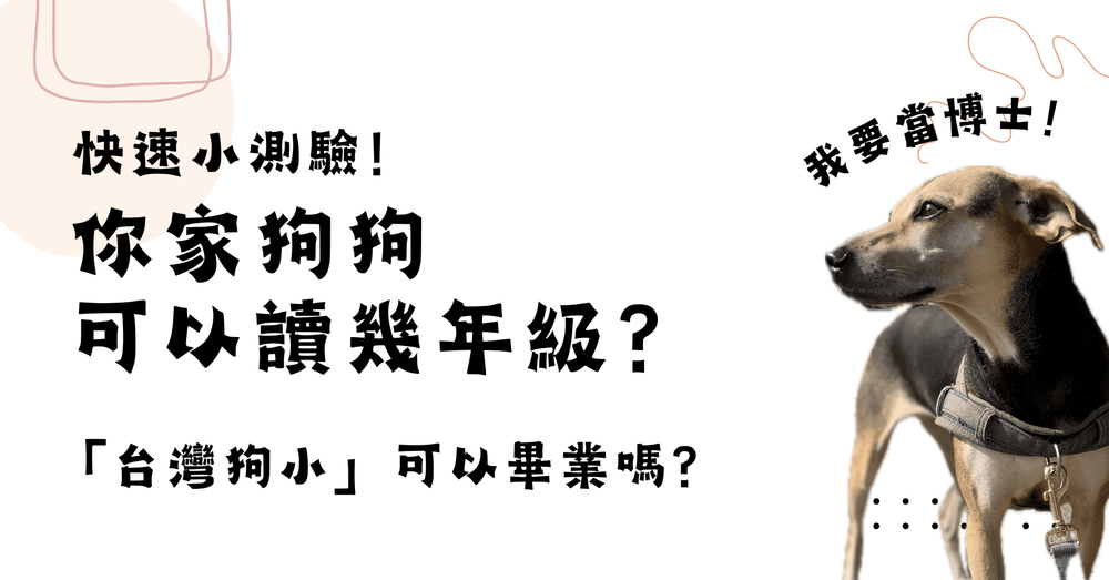 文章封面圖片