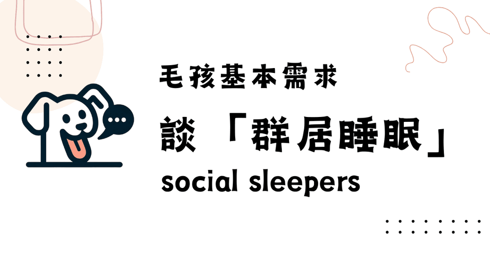 文章封面圖片