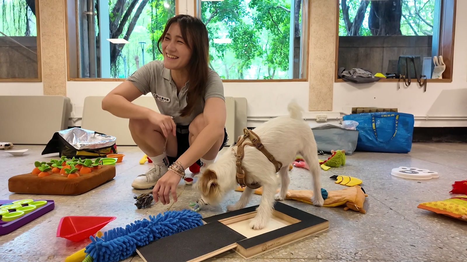 狗狗遊樂園・幼犬團體體驗 照片 2