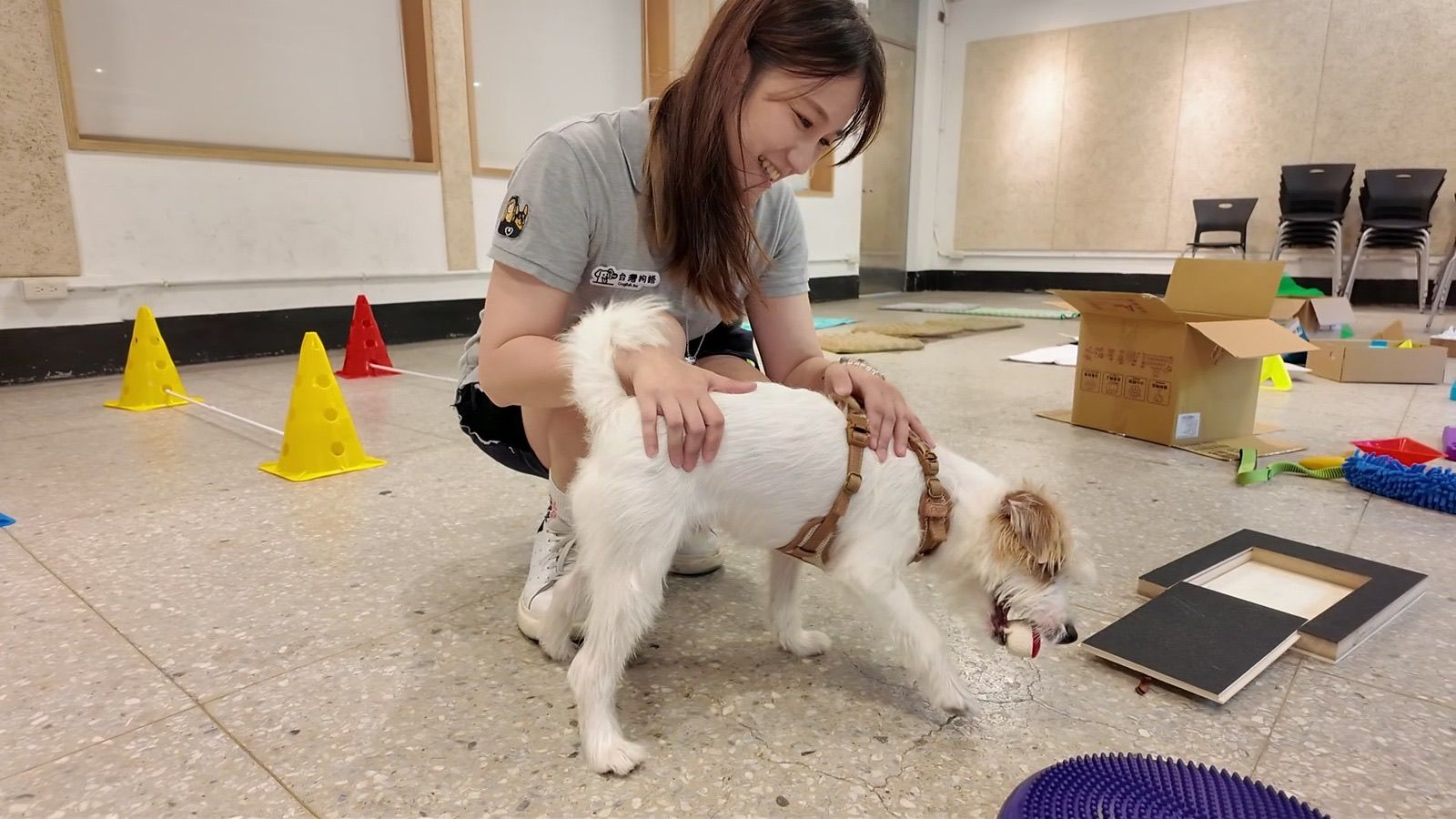 狗狗遊樂園・幼犬團體體驗 照片 8