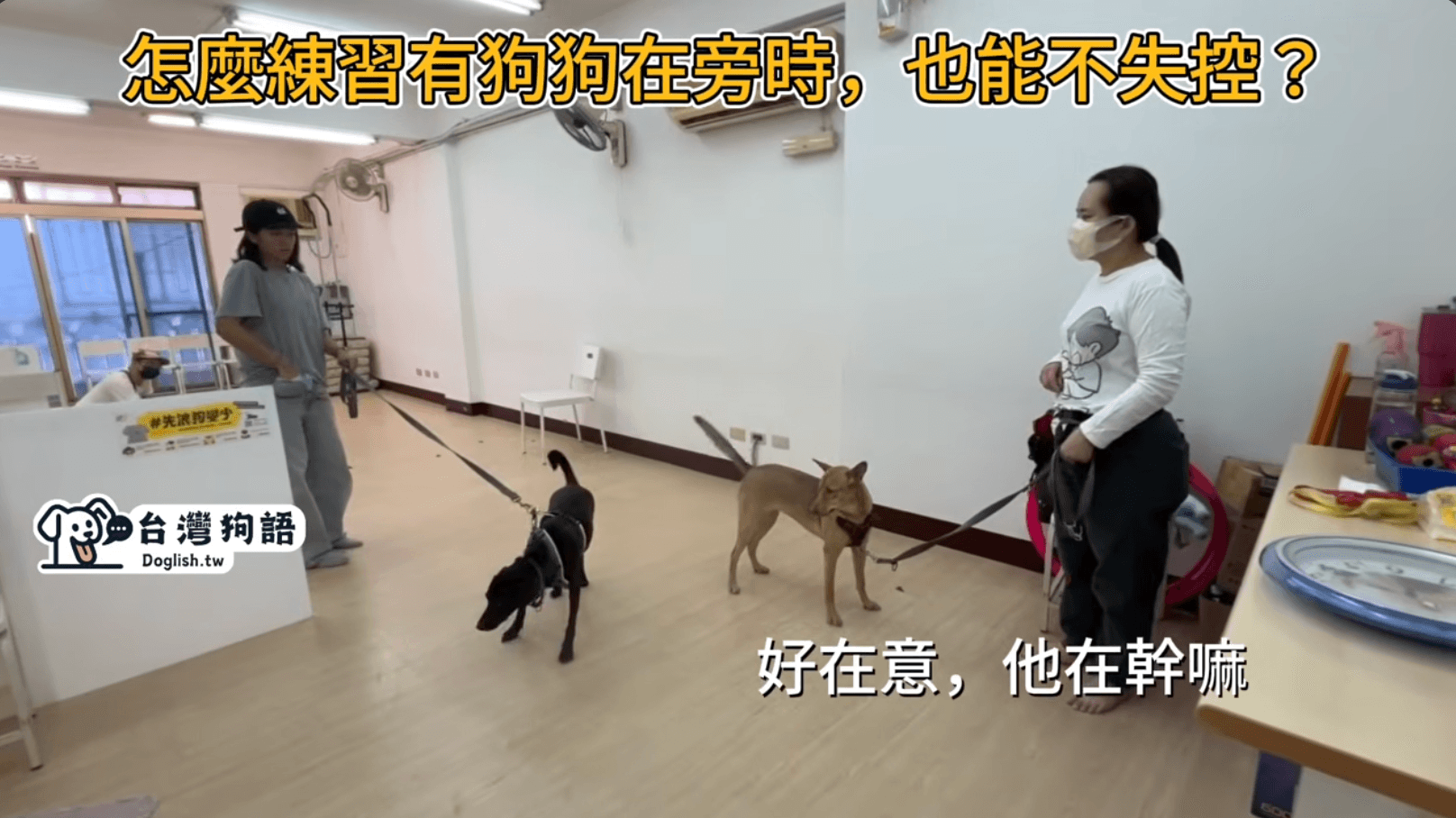 Screenshot 2026-02-23 at 4.52.56 PM.png