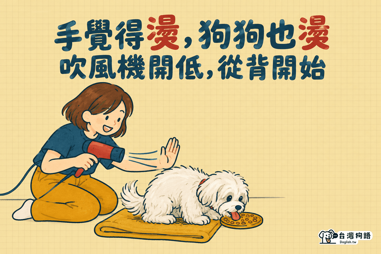 手覺得燙，狗狗也燙：吹風機開低，從背開始