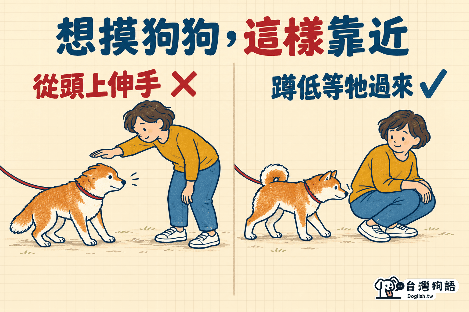 想摸狗狗，這樣靠近：從頭上伸手（不好）、蹲低等牠過來（好）