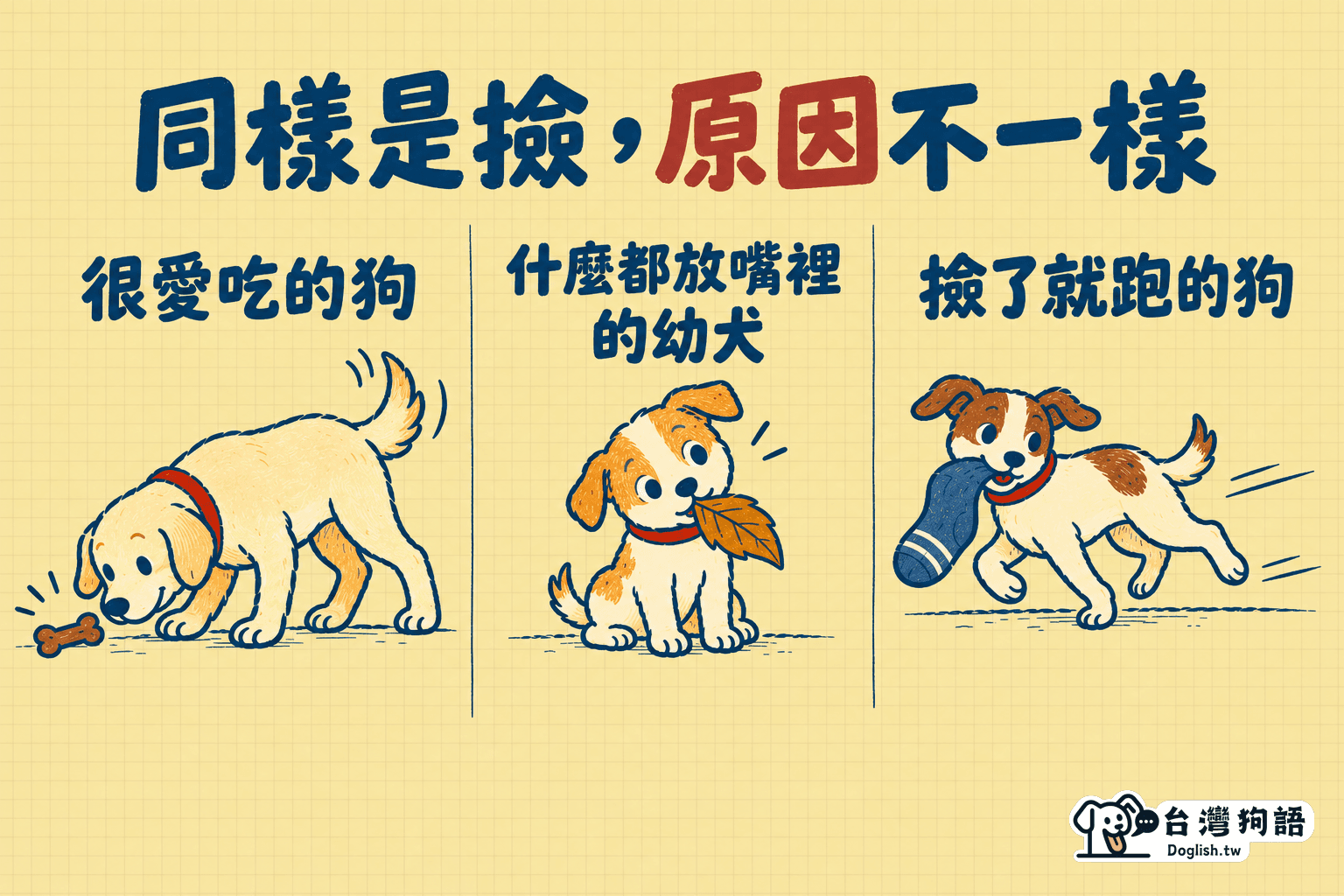 同樣是撿，原因不一樣：很愛吃的狗、什麼都放嘴裡的幼犬、撿了就跑的狗