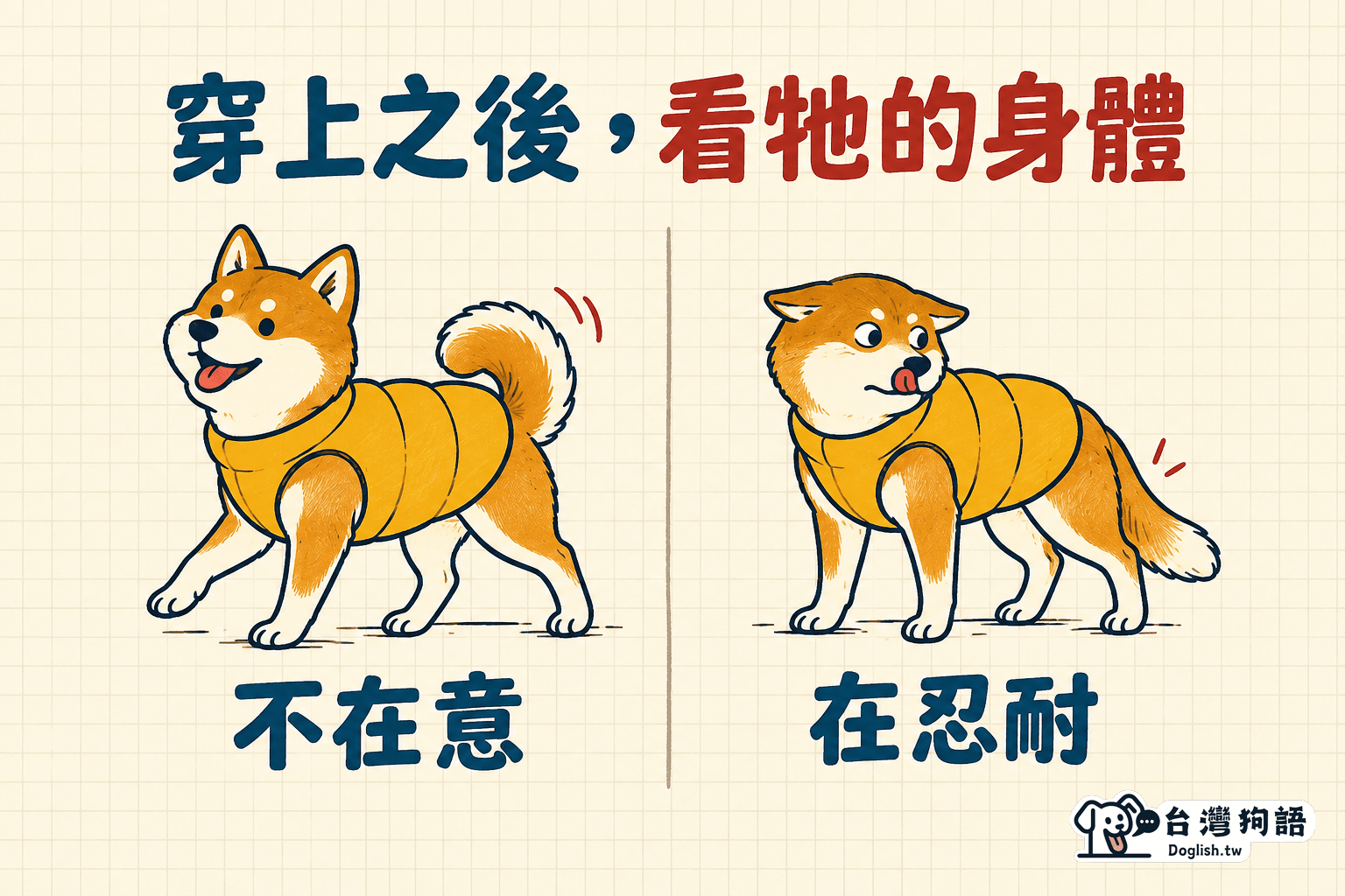 穿上之後，看牠的身體：不在意 vs 在忍耐