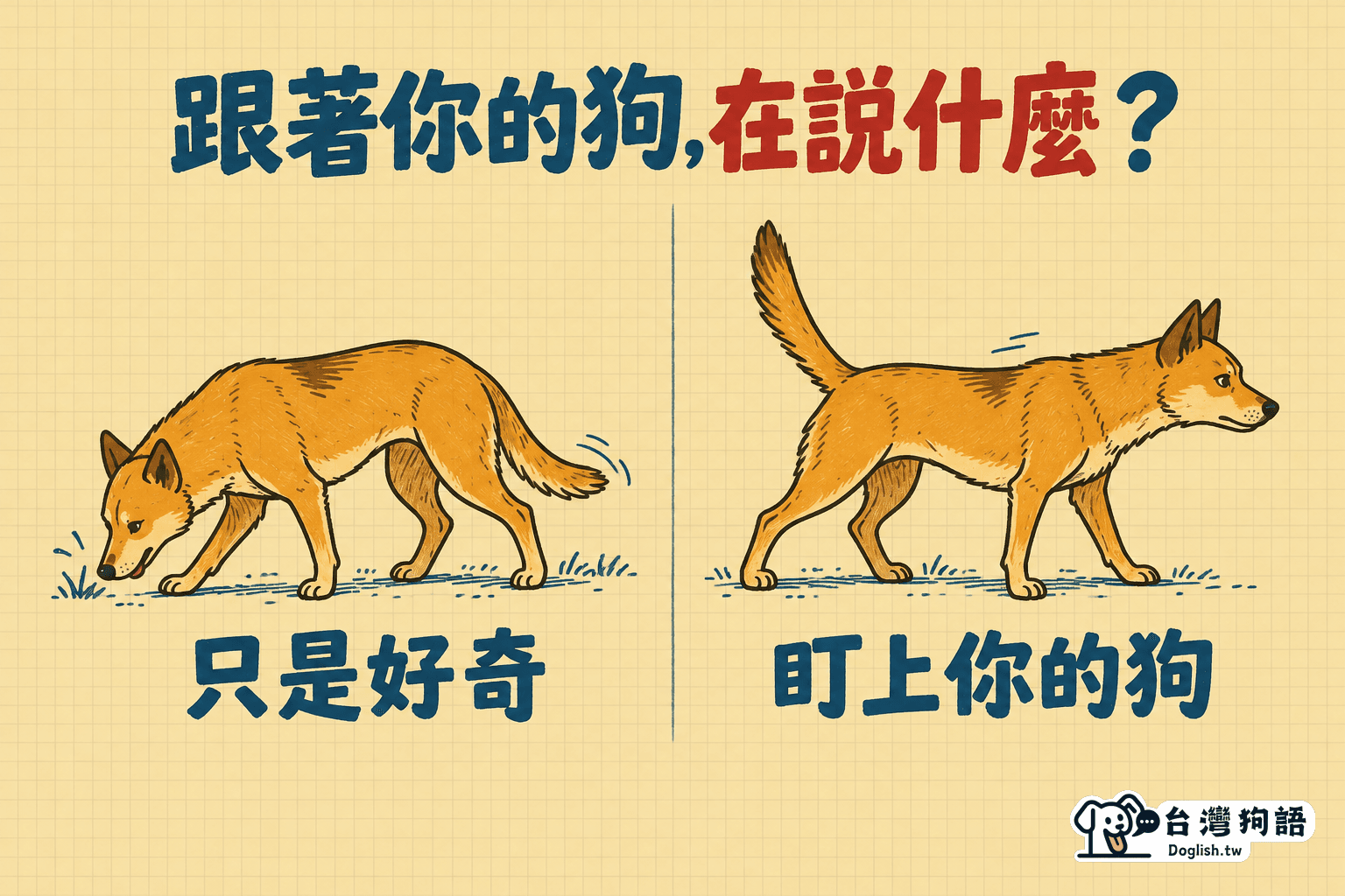 跟著你的狗,在說什麼?只是好奇 vs 盯上你的狗