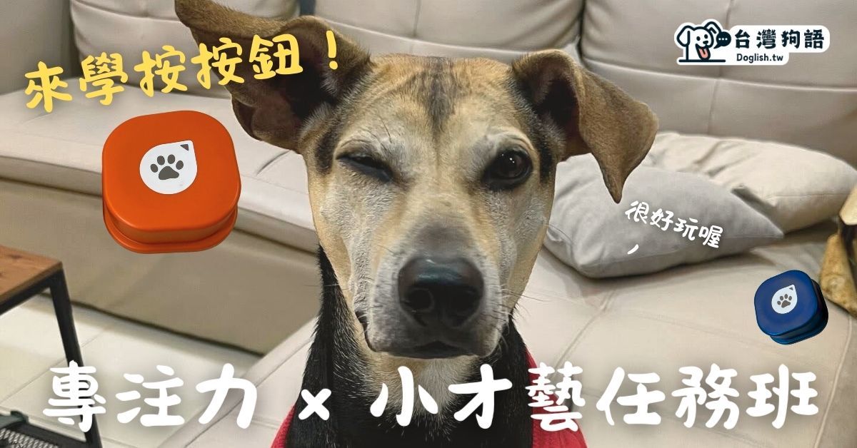 按按鈕專注力 × 小才藝任務班