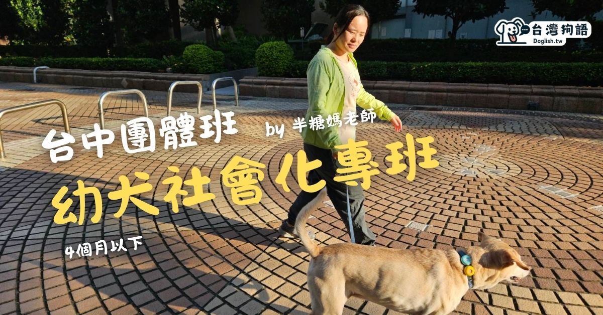 幼犬基礎養成班（台中）