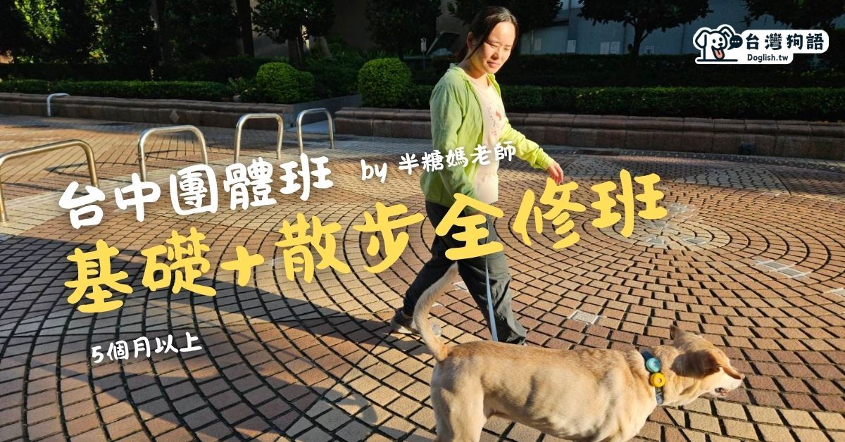散步全修班（台中）