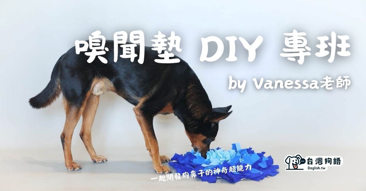 手作嗅聞墊 DIY
