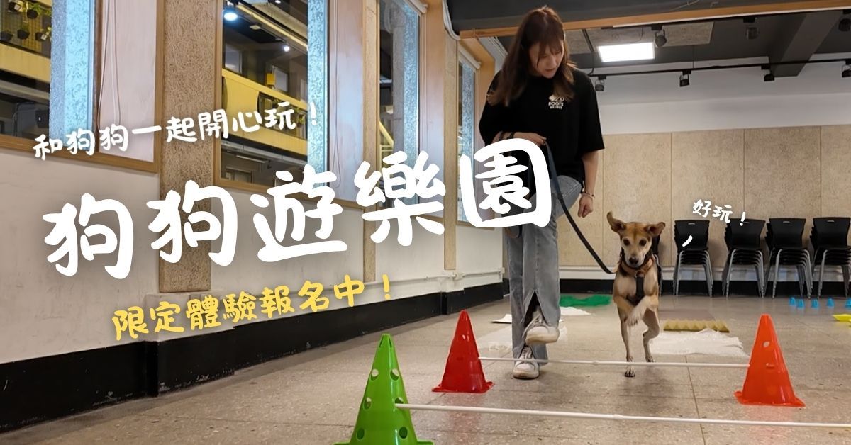 狗狗室內樂園體驗