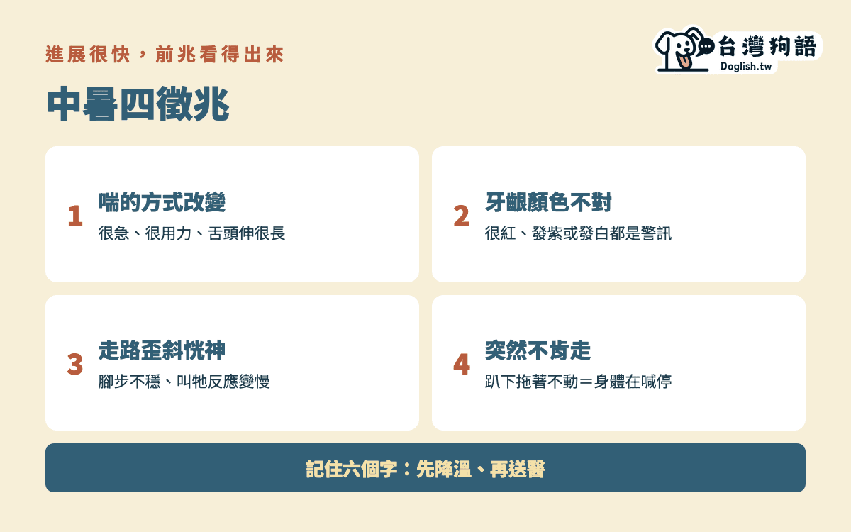 中暑四徵兆